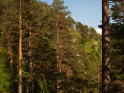 2013-07-13_Regina-F-Rau_Sonnenspitze3 (138).JPG